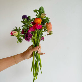 fresh flower bodega bouquet wrap subscription (week of sept 17 anemones & ranunculus x 12) - houseoflilac