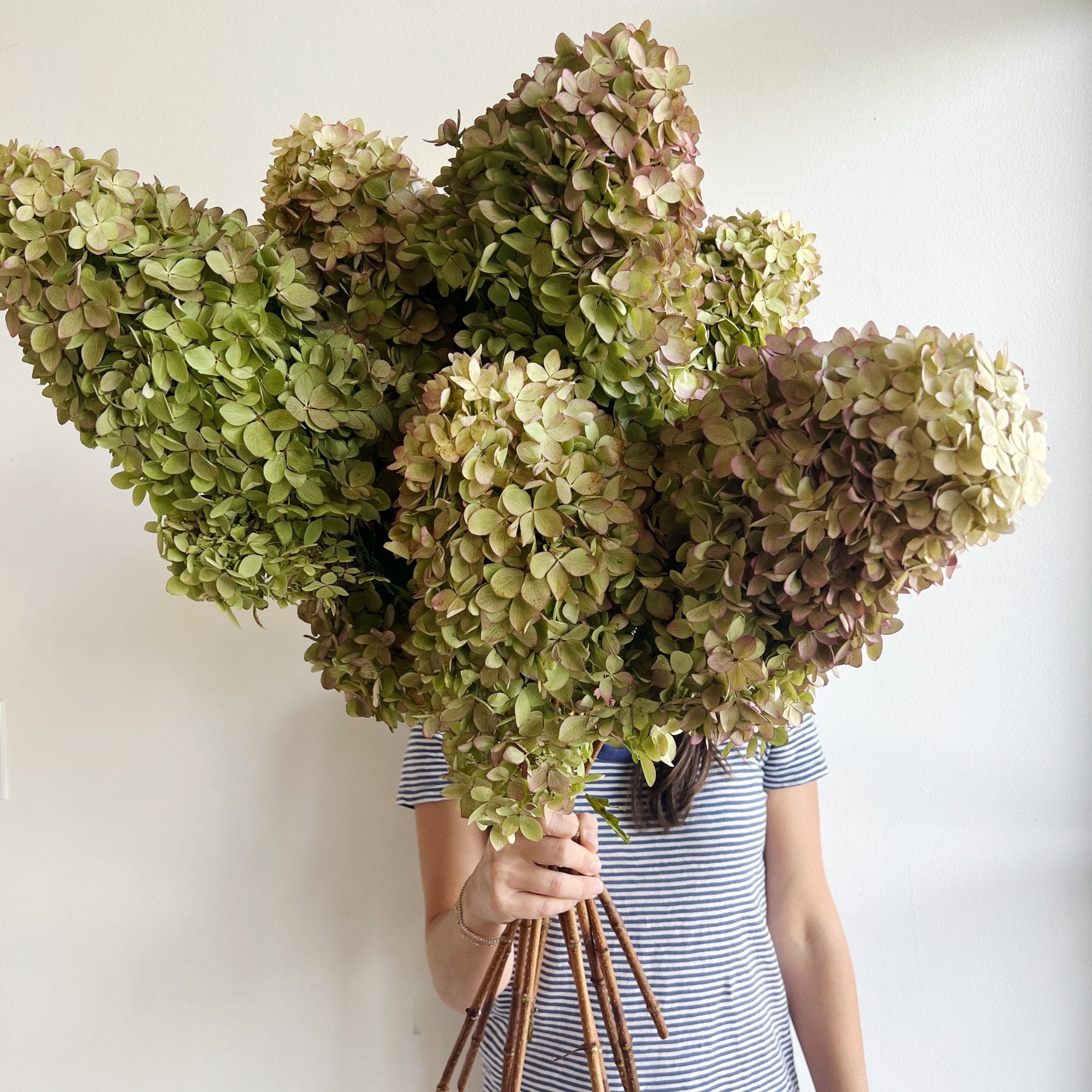 Dried Hydrangea and Fall-Dried Botanicals for the Home